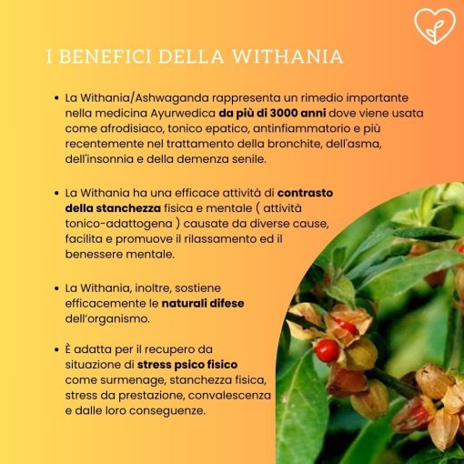 ENERGIA E RECUPERO 50 caps | Integratore a base di Withania e Rhodiola - immagine 4