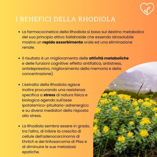 ENERGIA E RECUPERO 50 caps | Integratore a base di Withania e Rhodiola - immagine 5