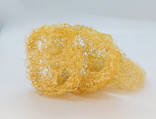 Cat wheel in luffa - immagine 2