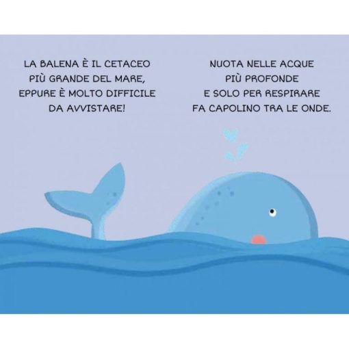 Libri per Bambini La Mia Prima Biblioteca: il Mare I Sassi - immagine 3