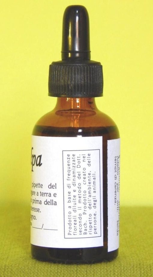 GRILLOTALPA | Rimedio naturale per dissuadere grillo talpa - immagine 2