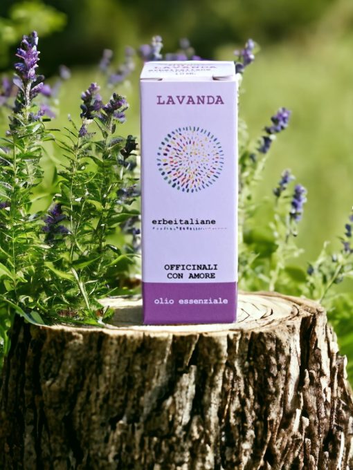 Olio essenziale di Lavanda - 10ml | ErbeItaliane - immagine 2