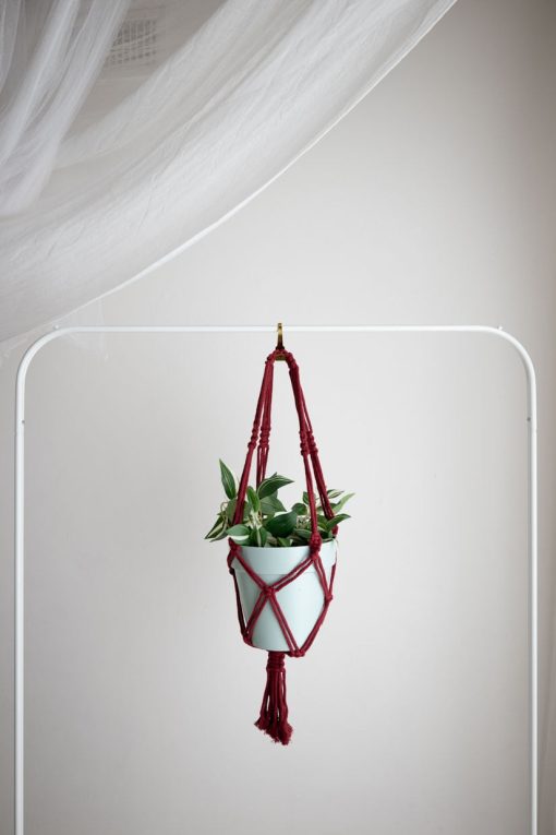 Porta piante in macramè | Macramè de Candela - immagine 6