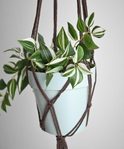 Porta piante in macramè | Macramè de Candela