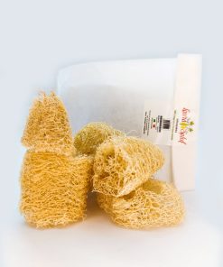 Pet sponge kit | 5 pezzi