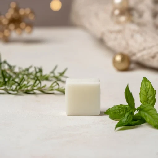 Idea Regalo di Natale: Sgrassino lo Sgrassatore Solido | Officina Naturae - immagine 4