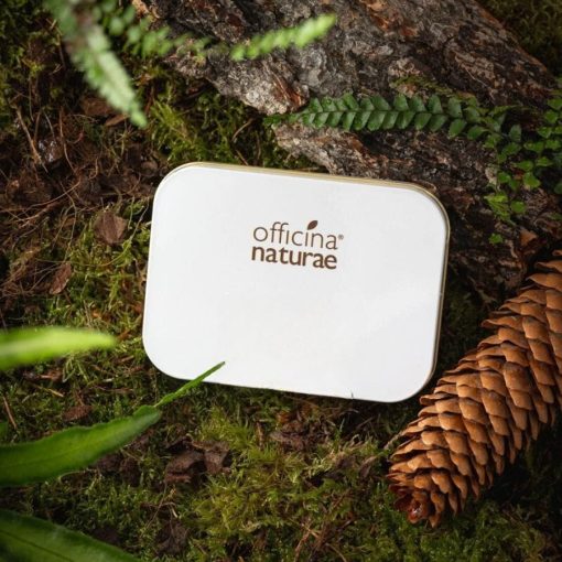Kit Casa Plastic Free con Sapone Piatti, Sgrassatore Solido, Luffa - immagine 4