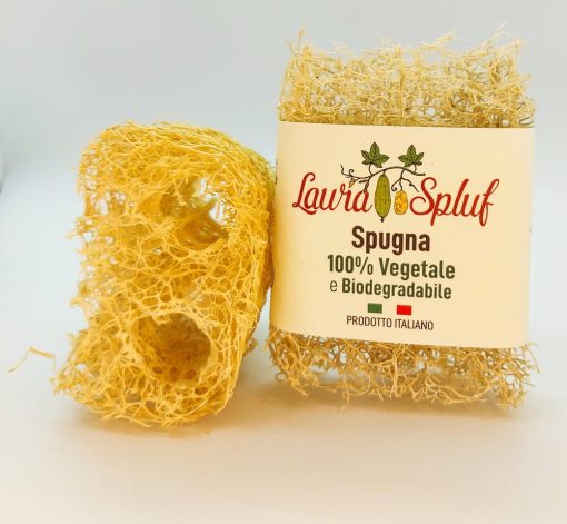 Trancio di luffa da 7 cmì - immagine 2
