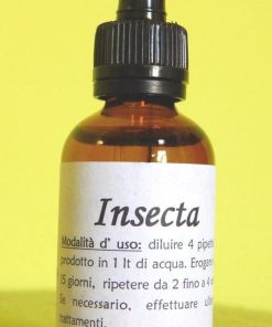 INSECTA | Rimedio naturale contro afidi, cocciniglia, metcalfa