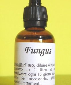 FUNGUS | Rimedio naturale per funghi e muffe di piante