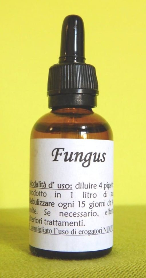 FUNGUS | Rimedio naturale per funghi e muffe di piante