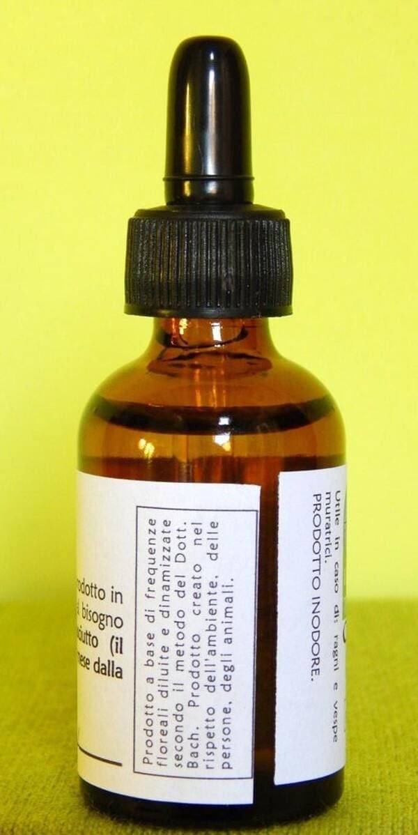 SPIDER | Rimedio naturale contro ragni e vespe muratrici - immagine 3