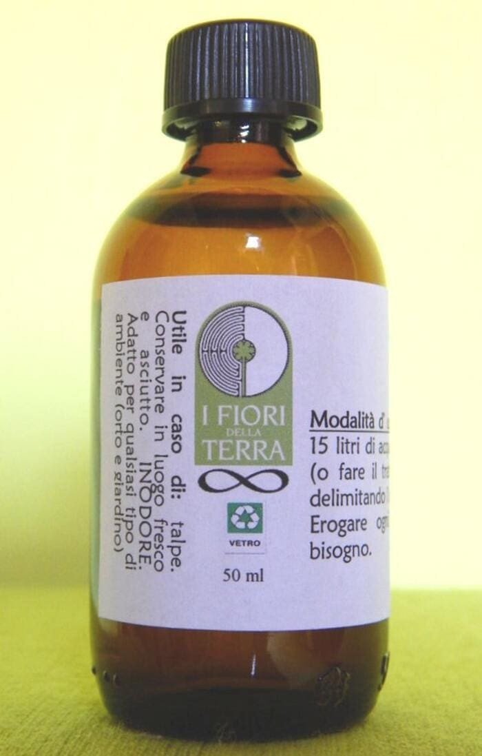 TALPA | Rimedio naturale per destabilizzare le talpe - immagine 2