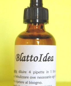 KIT Formiche + Blattoidea | 2 Rimedi naturali