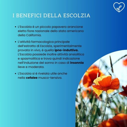 RIPOSO NOTTURNO 30 caps | Integratore a base di Melatonina, Passiflora ed Escolzia - immagine 7