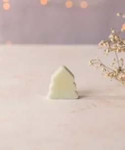 PINO - SAPONE PER PIATTI SOLIDO ALLA MENTA SENZA ASTUCCIO 25G | Officina Naturae