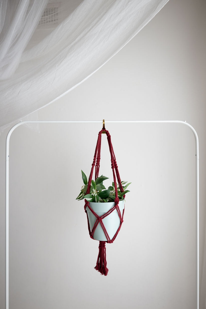 Porta piante in macramè | Macramè de Candela (Colore: bordo)