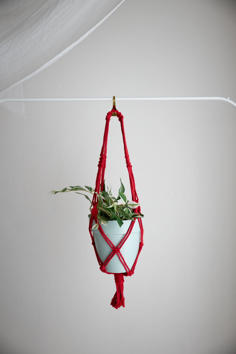 Porta piante in macramè | Macramè de Candela (Colore: rosso)